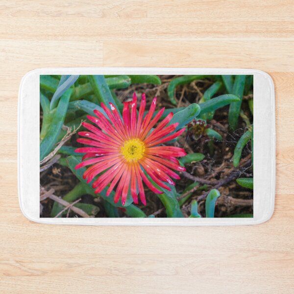 Item preview, Sunlit Close-Up Red Ice Plant Flower Blooming Among Succulent Green Leaves In Garden designed and sold by Nmallia.