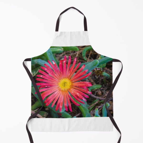 Item preview, Sunlit Close-Up Red Ice Plant Flower Blooming Among Succulent Green Leaves In Garden designed and sold by Nmallia.