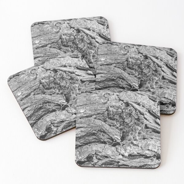 Item preview, Close-Up Black and White Tree Bark Texture With Rough Grooves And Knotted Weathered Wood designed and sold by Nmallia.
