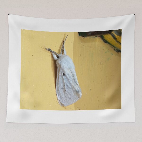 Item preview, Yellow Wooly Bear Moth designed and sold by Alice  Becky Kahn.