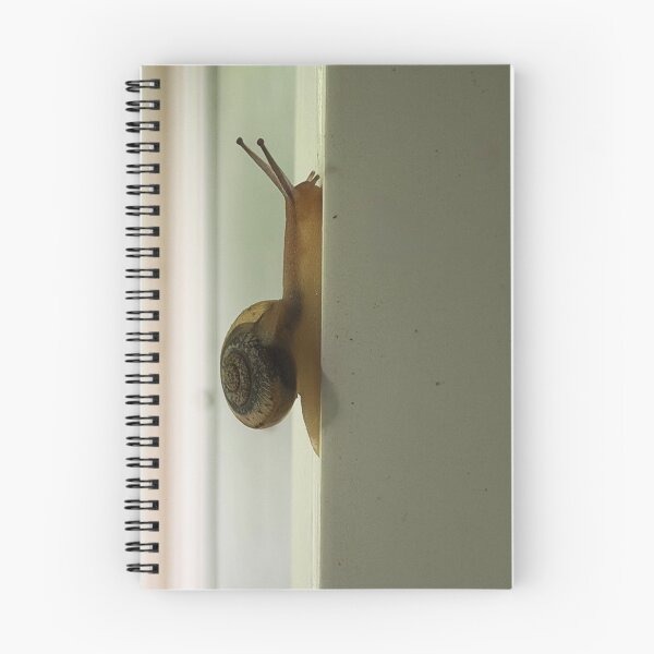 Item preview, Snail designed and sold by Alice  Becky Kahn.