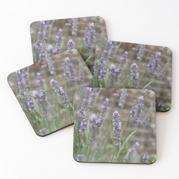 Item preview, Lavender field - Soft peaceful botanical photography designed and sold by Cha-s-lens.