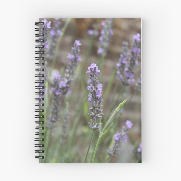 Item preview, Lavender field - Soft peaceful botanical photography designed and sold by Cha-s-lens.