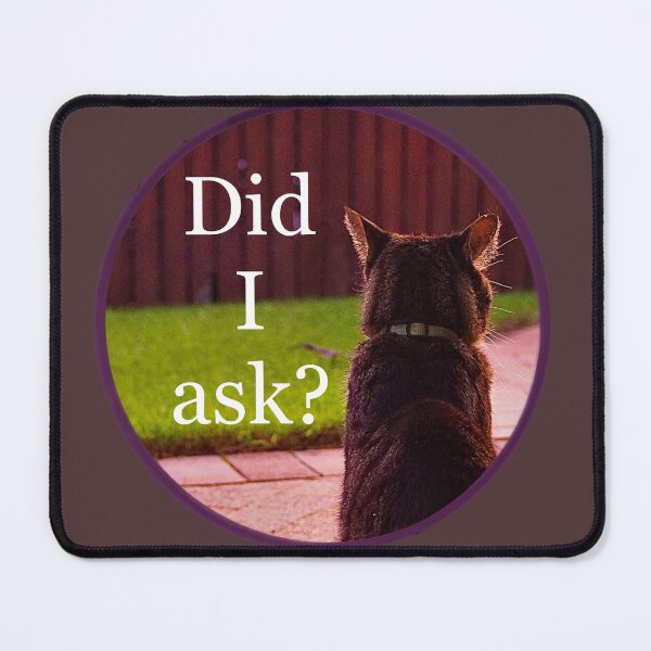 Item preview, Salty cat “did I ask” photo edit designed and sold by QueenOfCorn.