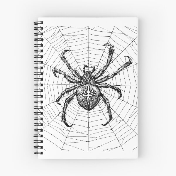 Item preview, European garden spider (Araneus diadematus) by Apel·les Mestres 1906 designed and sold by Hedrin.