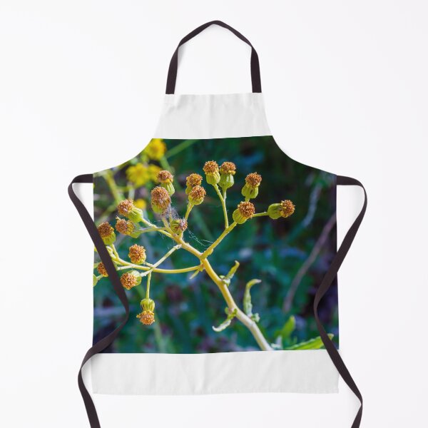 Item preview, Close-Up Of Yellow Wildflower Seed Heads And Buds With Spider Web On Green Background designed and sold by Nmallia.