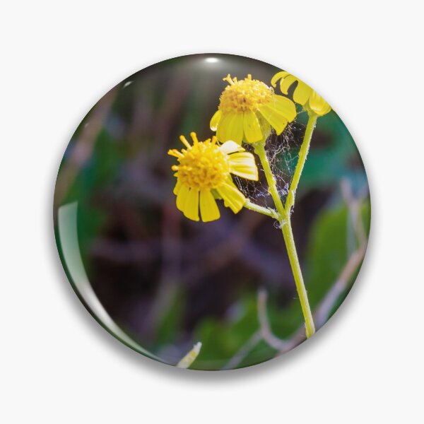 Item preview, Close-Up Of Yellow Wildflowers With Bee And Spider Web In Natural Green Background designed and sold by Nmallia.