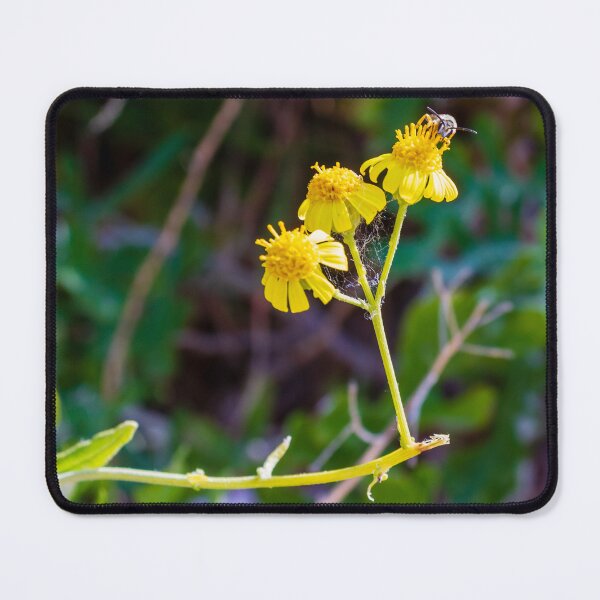 Item preview, Close-Up Of Yellow Wildflowers With Bee And Spider Web In Natural Green Background designed and sold by Nmallia.