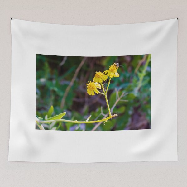 Item preview, Close-Up Of Yellow Wildflowers With Bee And Spider Web In Natural Green Background designed and sold by Nmallia.