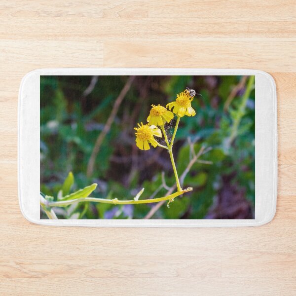 Item preview, Close-Up Of Yellow Wildflowers With Bee And Spider Web In Natural Green Background designed and sold by Nmallia.