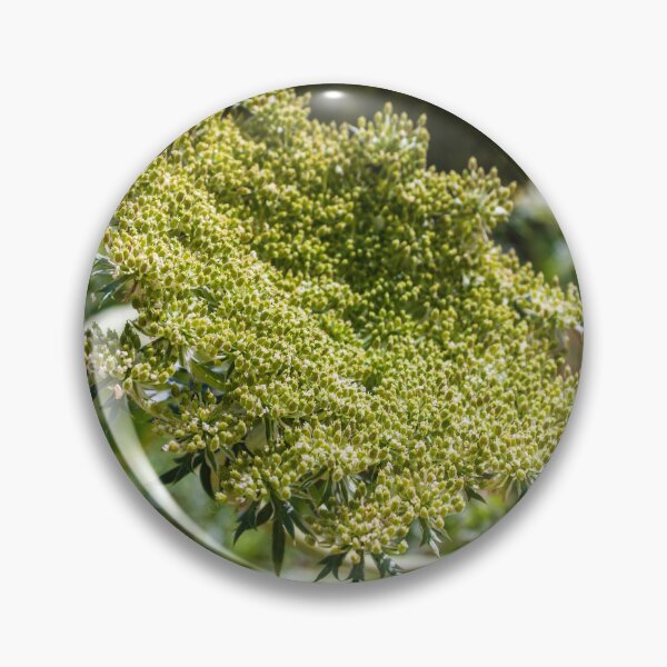 Item preview, Green Umbel Flower Head Close-Up In Meadow Plant Nature Wildflower Detail designed and sold by Nmallia.