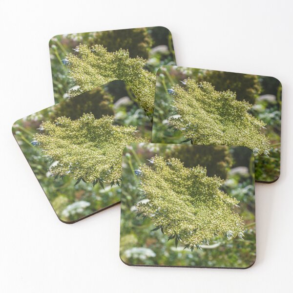 Item preview, Green Umbel Flower Head Close-Up In Meadow Plant Nature Wildflower Detail designed and sold by Nmallia.