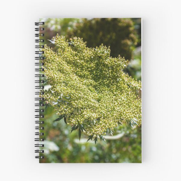 Item preview, Green Umbel Flower Head Close-Up In Meadow Plant Nature Wildflower Detail designed and sold by Nmallia.