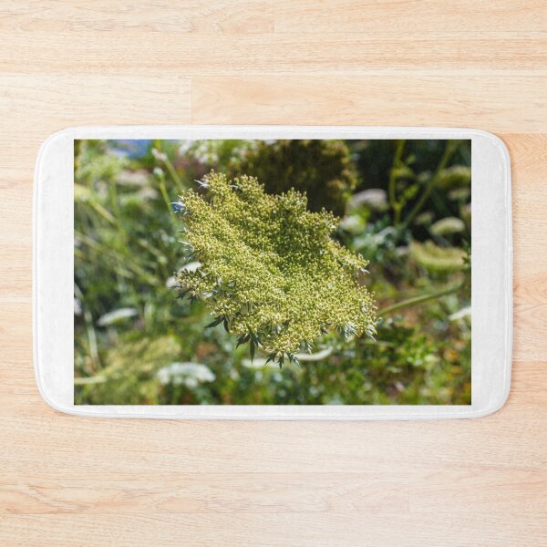 Item preview, Green Umbel Flower Head Close-Up In Meadow Plant Nature Wildflower Detail designed and sold by Nmallia.