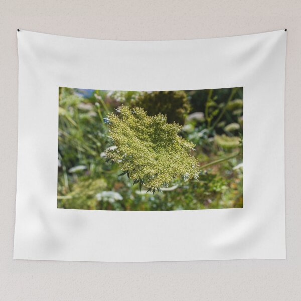 Item preview, Green Umbel Flower Head Close-Up In Meadow Plant Nature Wildflower Detail designed and sold by Nmallia.