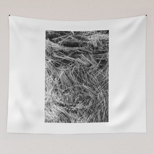 Item preview, Close-Up Black and White Palm Tree Fiber Texture Abstract Nature Background Pattern designed and sold by Nmallia.