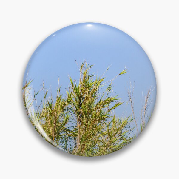 Item preview, Tall Reeds And Green Marsh Grasses Against A Clear Blue Sky On Sunny Day designed and sold by Nmallia.