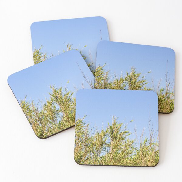 Item preview, Tall Reeds And Green Marsh Grasses Against A Clear Blue Sky On Sunny Day designed and sold by Nmallia.