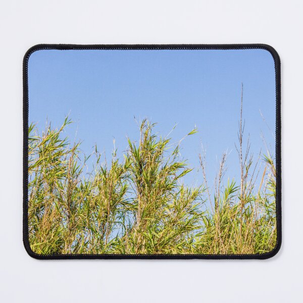 Item preview, Tall Reeds And Green Marsh Grasses Against A Clear Blue Sky On Sunny Day designed and sold by Nmallia.