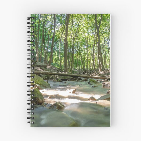 Item preview, Tranquil Forest Stream Near Sherman Falls, Hamilton, Ontario designed and sold by jrtwynam.
