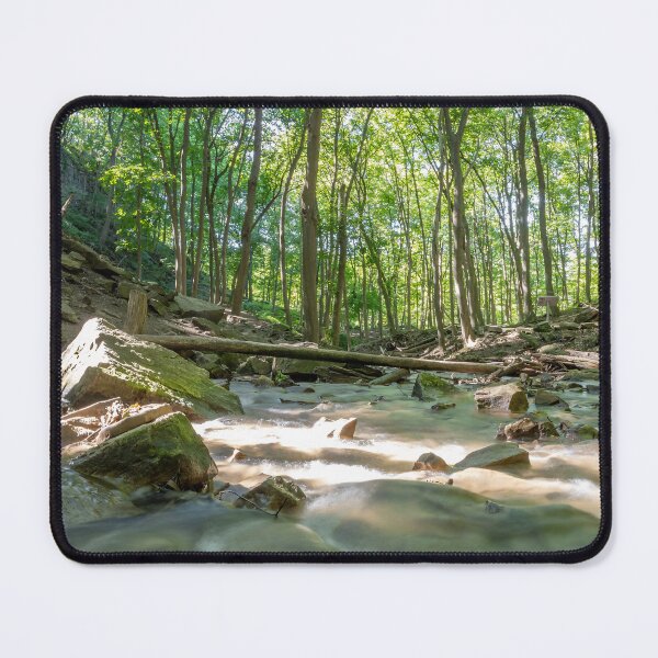 Item preview, Tranquil Forest Stream Near Sherman Falls, Hamilton, Ontario designed and sold by jrtwynam.