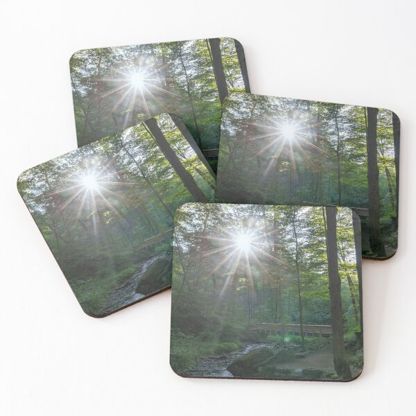 Item preview, Sunlit Forest Trail with Wooden Bridge in Hamilton, Ontario designed and sold by jrtwynam.