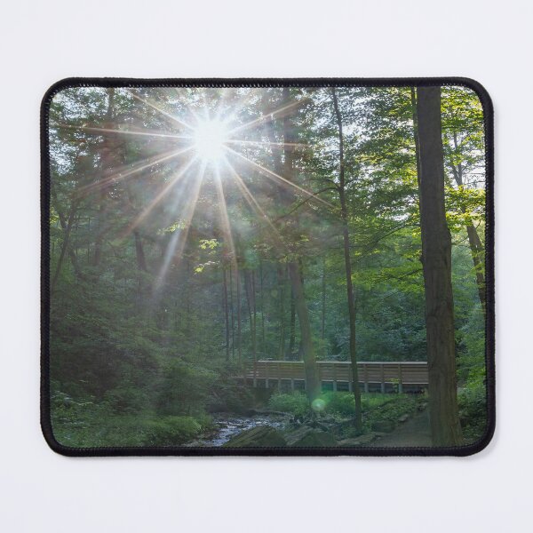 Item preview, Sunlit Forest Trail with Wooden Bridge in Hamilton, Ontario designed and sold by jrtwynam.
