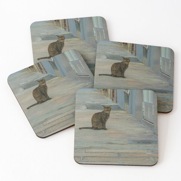 Item preview, Tabby Cat Sitting Alone On Narrow Urban Alley Pavement Near A Doorway In Quiet Street Scene designed and sold by Nmallia.