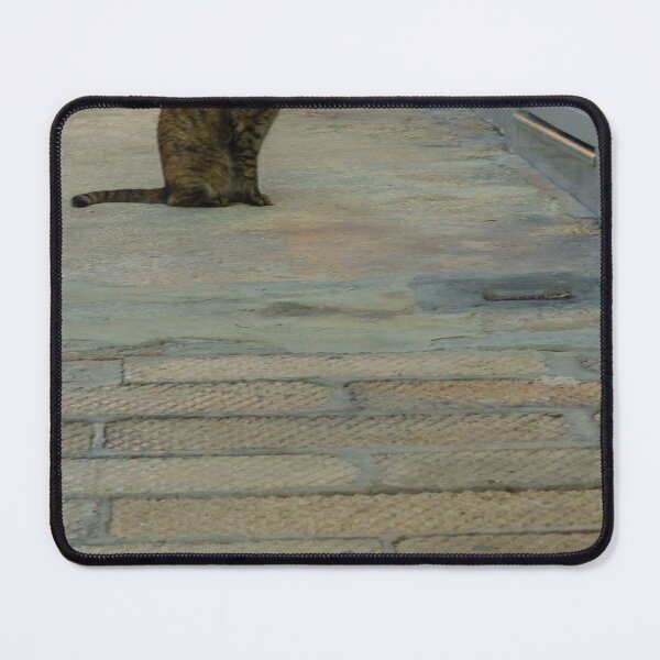 Item preview, Tabby Cat Sitting Alone On Narrow Urban Alley Pavement Near A Doorway In Quiet Street Scene designed and sold by Nmallia.