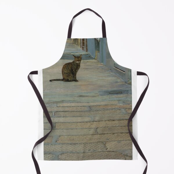 Item preview, Tabby Cat Sitting Alone On Narrow Urban Alley Pavement Near A Doorway In Quiet Street Scene designed and sold by Nmallia.
