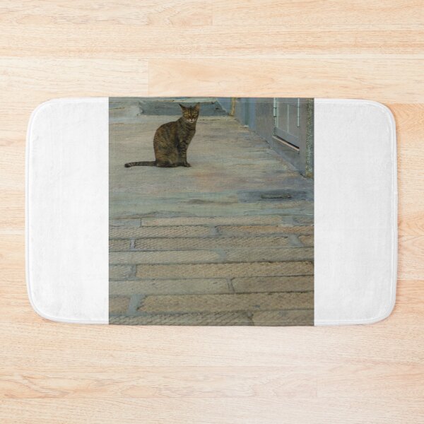Item preview, Tabby Cat Sitting Alone On Narrow Urban Alley Pavement Near A Doorway In Quiet Street Scene designed and sold by Nmallia.
