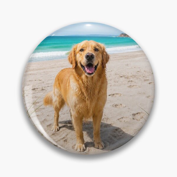 Item preview, Golden Retriever on beach designed and sold by lykens-luzesky.