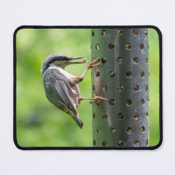Item preview, Eurasian nuthatch (Sitta europaea)   designed and sold by Stephen Jarman.