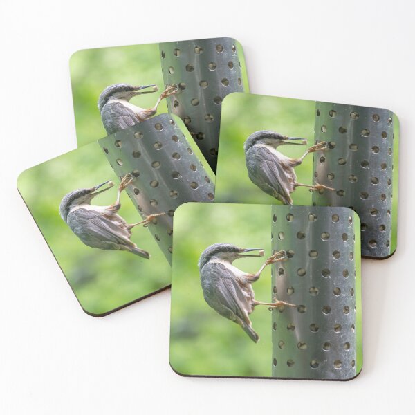 Item preview, Eurasian nuthatch (Sitta europaea)   designed and sold by Stephen Jarman.