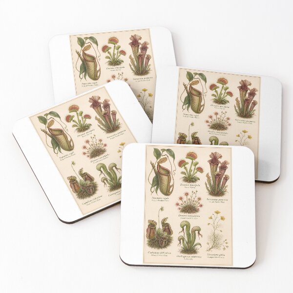 Item preview, Vintage Carnivorous Plants Botanical Plate | Scientific Botanical Illustration designed and sold by Extravanganzza.