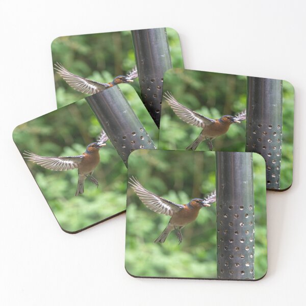 Item preview, Eurasian chaffinch (Fringilla coelebs) feeding  designed and sold by Stephen Jarman.