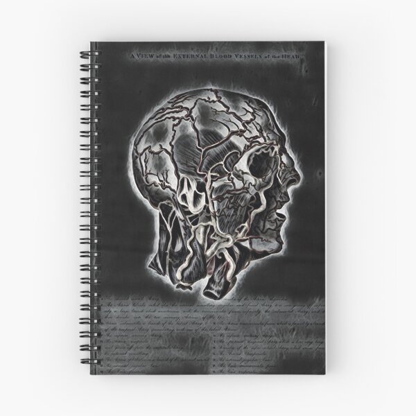 Item preview, The external blood vessels of the head. designed and sold by Thomas Publications.