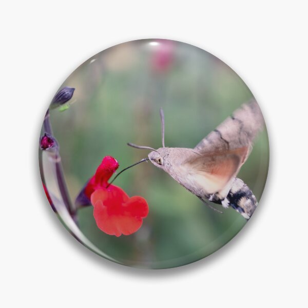 Item preview, Hummingbird Hawkmoth designed and sold by Tanya C  Smith.