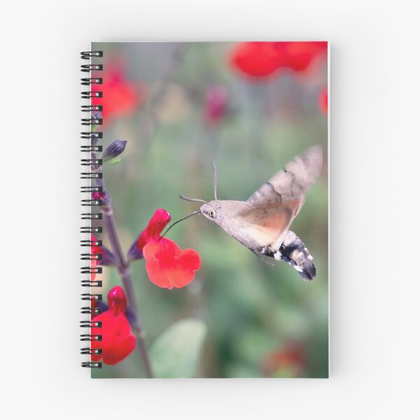Item preview, Hummingbird Hawkmoth designed and sold by Tanya C  Smith.