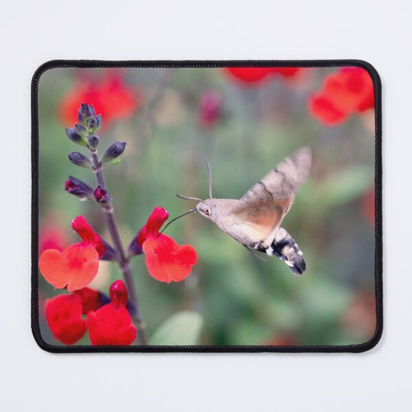 Item preview, Hummingbird Hawkmoth designed and sold by Tanya C  Smith.