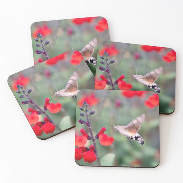 Item preview, Hummingbird Hawkmoth designed and sold by Tanya C  Smith.