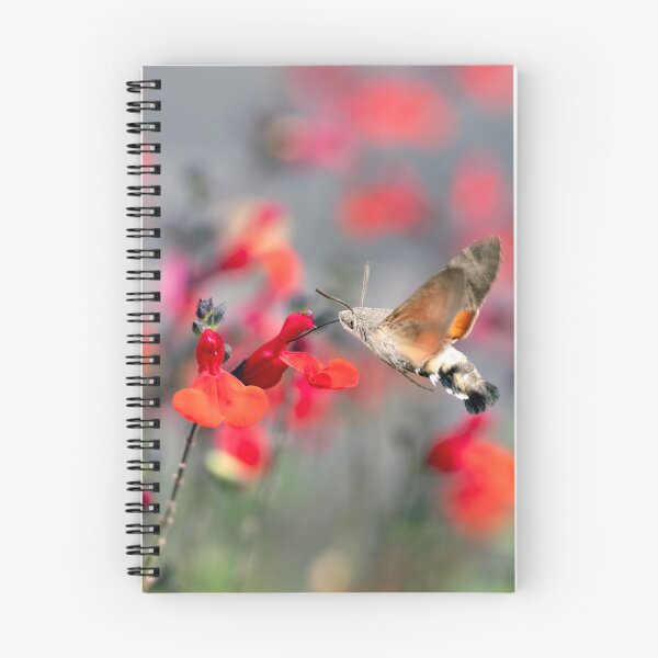 Item preview, Hummingbird Hawk-Moth designed and sold by Tanya C  Smith.