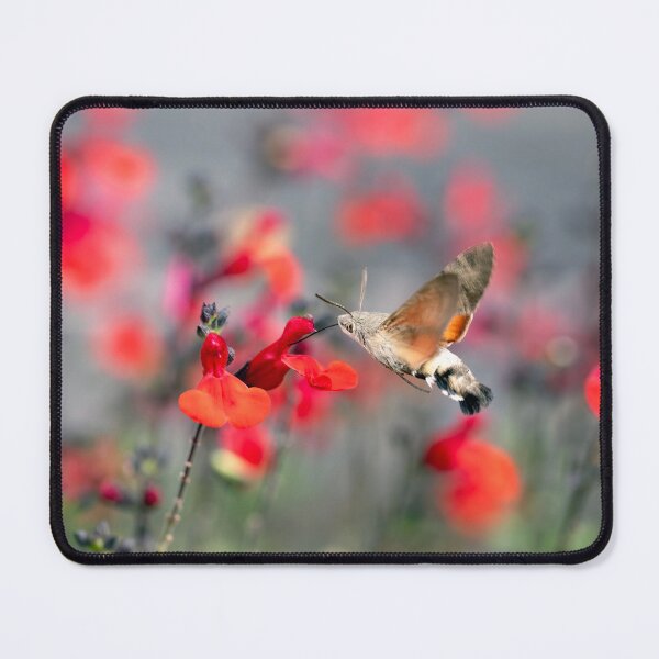 Item preview, Hummingbird Hawk-Moth designed and sold by Tanya C  Smith.