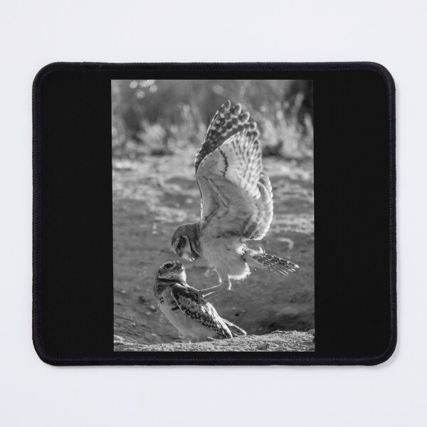 Item preview, Burrowing Owl Interaction designed and sold by CarolM.