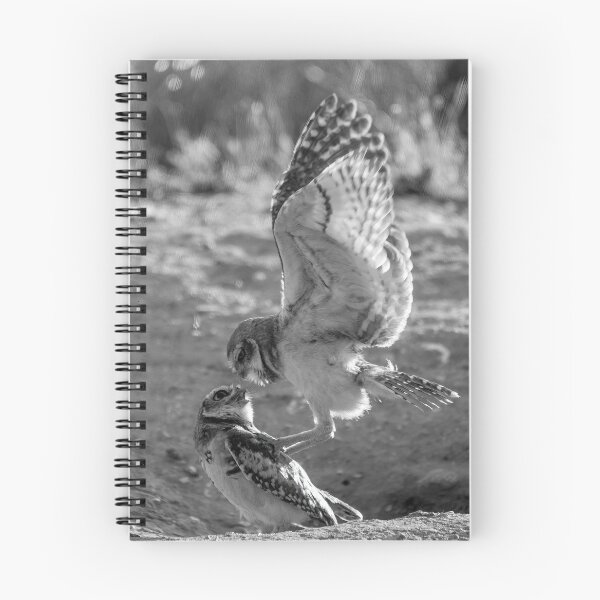 Item preview, Burrowing Owl Interaction designed and sold by CarolM.