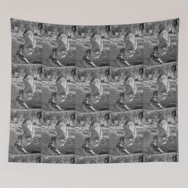 Item preview, Burrowing Owl Interaction designed and sold by CarolM.