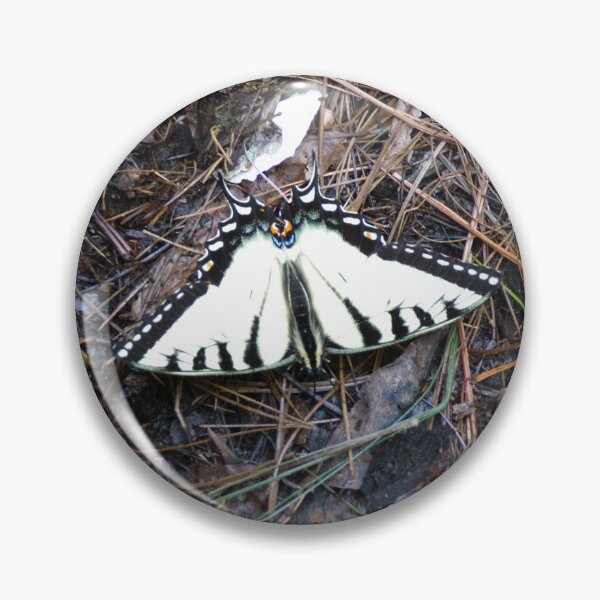 Item preview, Zebra Swallowtail Butterfly designed and sold by SquaresArt.