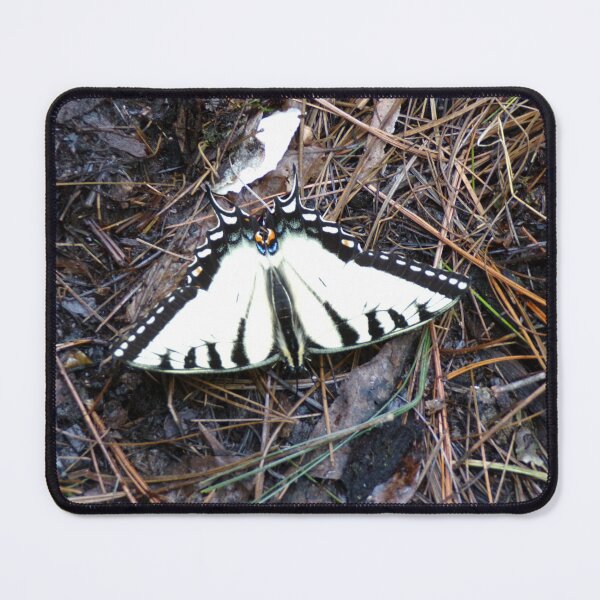 Item preview, Zebra Swallowtail Butterfly designed and sold by SquaresArt.