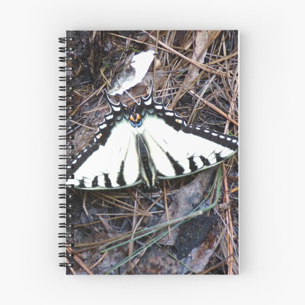 Item preview, Zebra Swallowtail Butterfly designed and sold by SquaresArt.