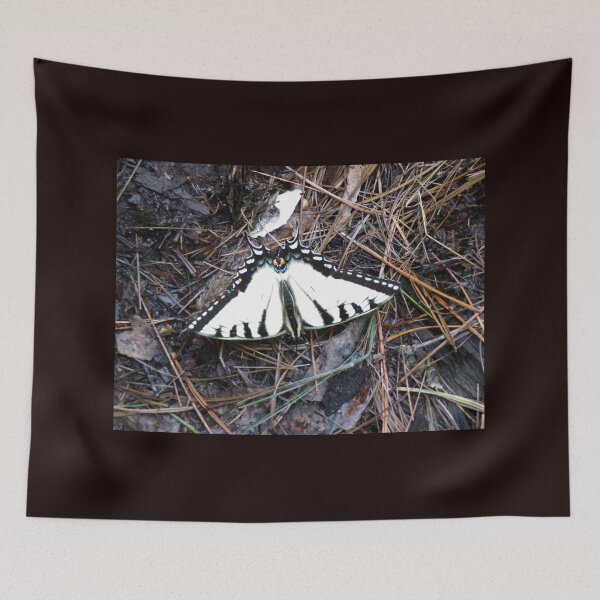 Item preview, Zebra Swallowtail Butterfly designed and sold by SquaresArt.